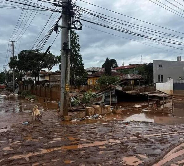 Kalaw manggio ung tui däm ne chang gui a k’daa shik’ki